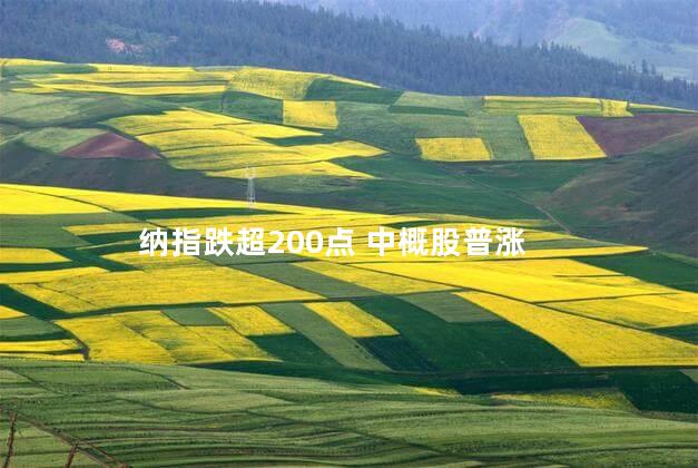 纳指跌超200点 中概股普涨